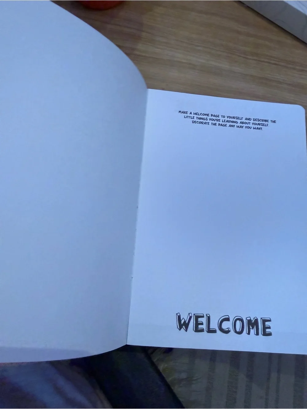 Create and Destroy Creative Notebook Journal for Ideas